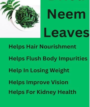 neem-leaves-whole-naturally-grown-leaf-p-3.jpg