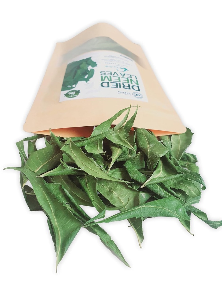 neem-leaves-whole-naturally-grown-leaf-p-5.jpg
