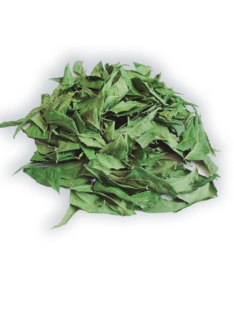 neem-leaves-whole-naturally-grown-leaf-p-4.jpg