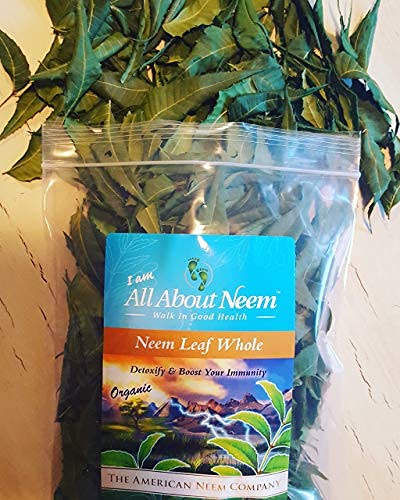 dried-neem-leaves-whole-fresh-wild-harve-3.jpg