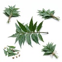 premium-dried-neem-leaves-100-natural-ha-2.jpg