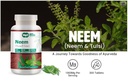 neem-tulsi-tablets-300-pills-150-serving-4.jpg