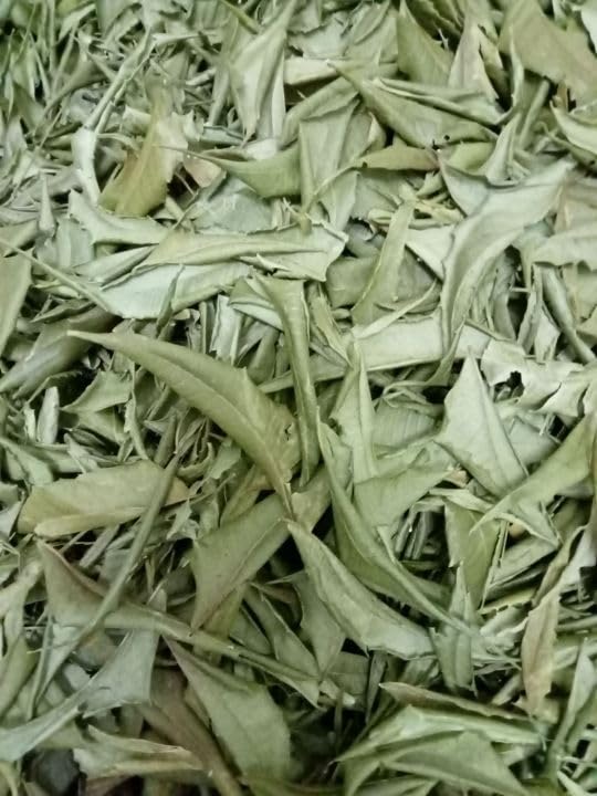 dried-neem-leaves-natural-herb-neem-2.jpg