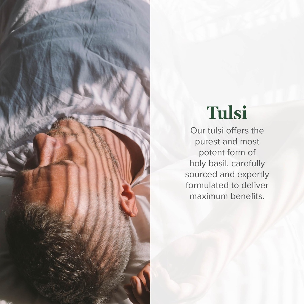 global-healing-organic-tulsi-holy-basil--2.jpg