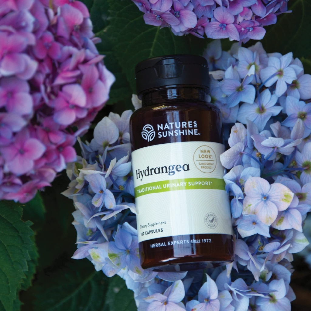 nature-s-sunshine-hydrangea-100-capsules-2.jpg