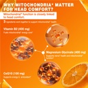 60-day-liposomal-vitamin-b2-gummies-ribo-5.jpg