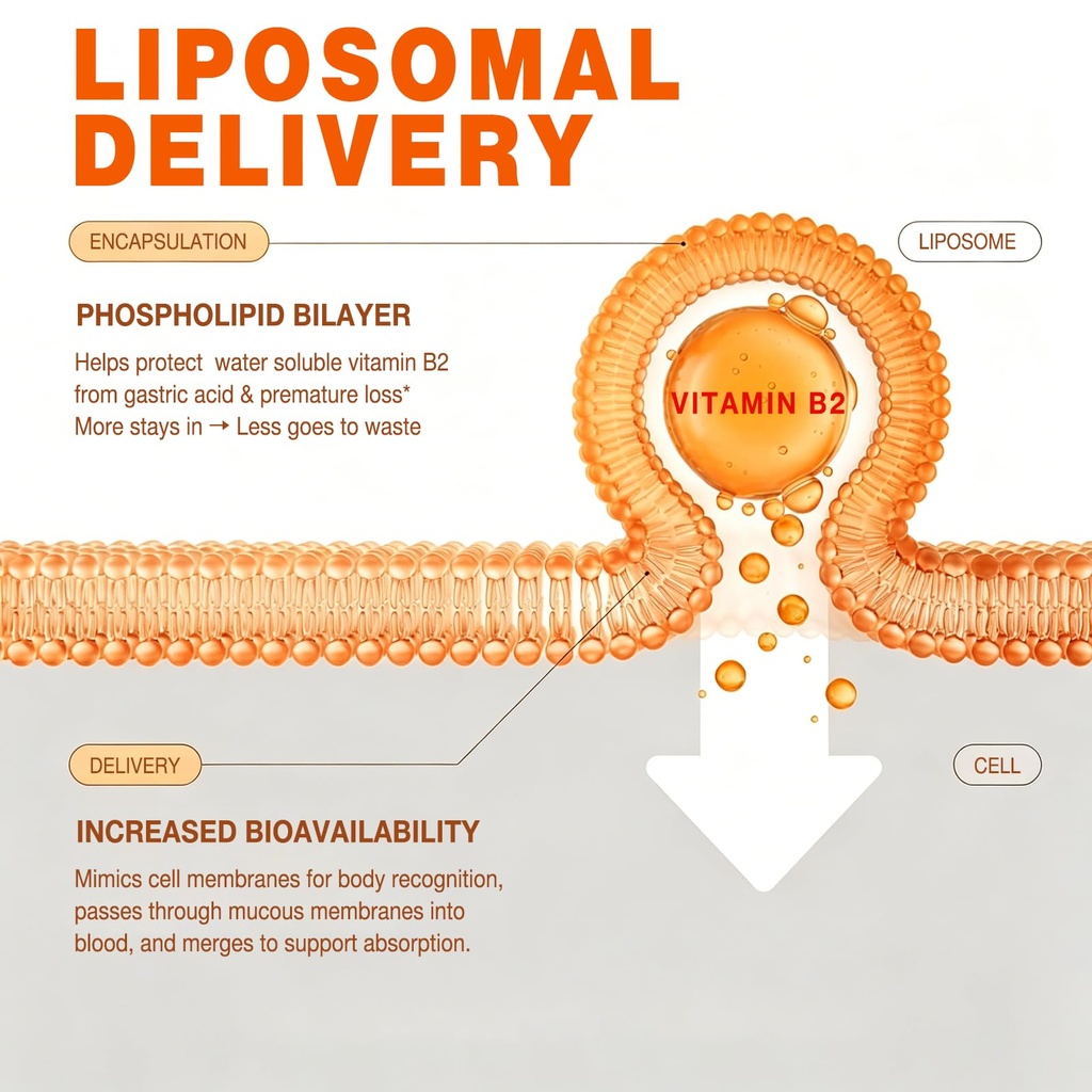 60-day-liposomal-vitamin-b2-gummies-ribo-6.jpg