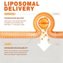 60-day-liposomal-vitamin-b2-gummies-ribo-6.jpg