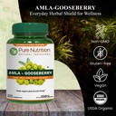 pure-nutrition-amla-capsules-indian-goos-2.jpg