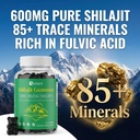 600mg-himalayan-shilajit-gummies-for-men-2.jpg