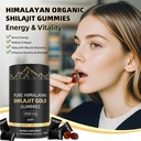 3000mg-himalayan-shilajit-gummies-gold-f-6.jpg