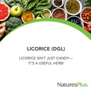 naturesplus-herbal-actives-licorice-dgl--2.jpg