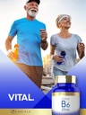 carlyle-vitamin-b6-25-mg-250-tablets-as--6.jpg