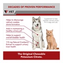 k-cit-v-potassium-citrate-plus-cranberry-3.jpg