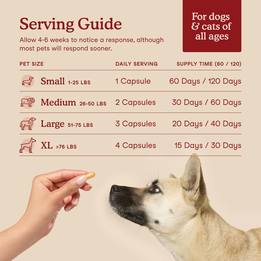 fera-pets-taurine-for-dogs-cats-heart-su-5.jpg
