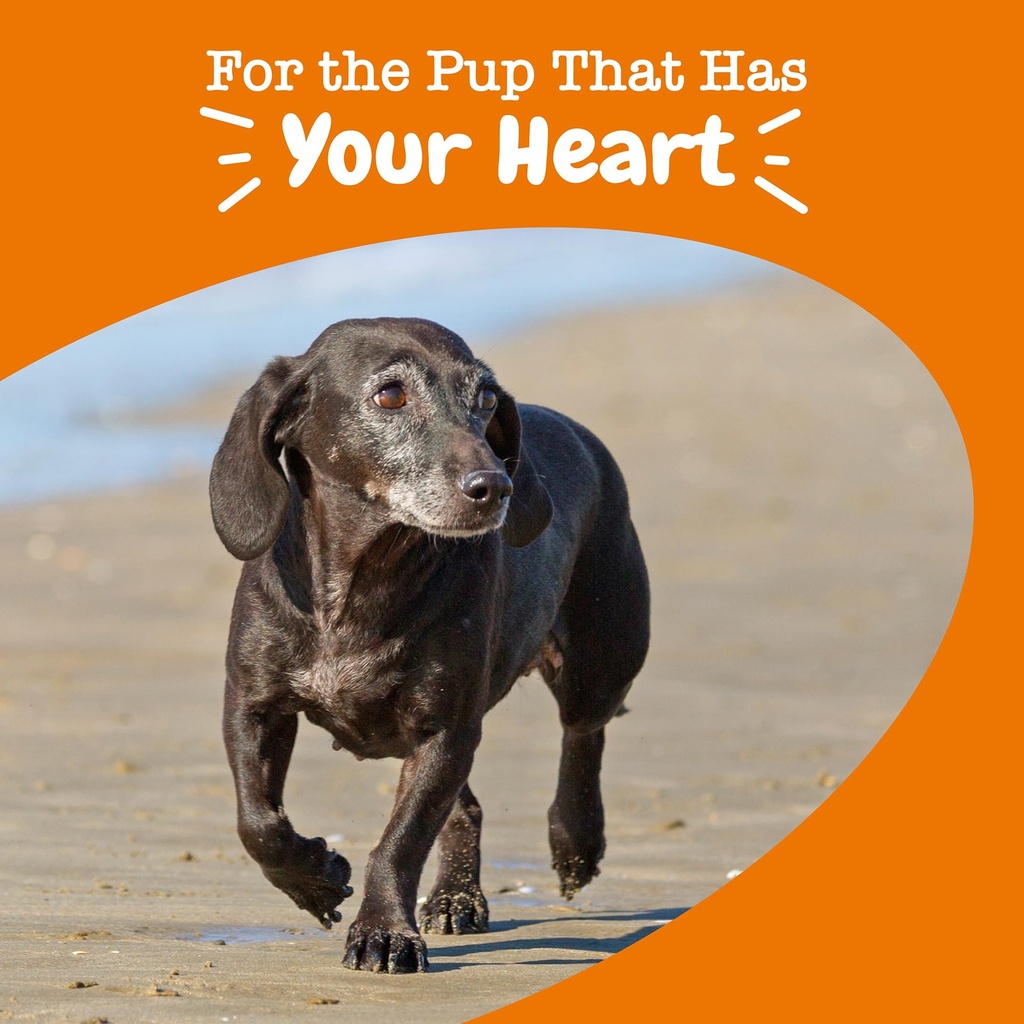 zesty-paws-cardiovascular-support-for-se-6.jpg