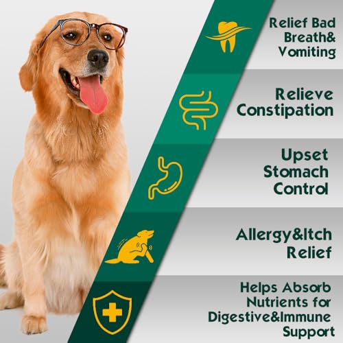 advanced-probiotic-for-dogs-supports-dig-5.jpg