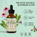 coracik-lymphatic-drainage-drops-lymphat-6.jpg