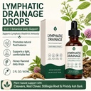 lymphatic-drainage-drops-4-in-1-organic--5.jpg