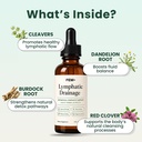 fem-lymphatic-drainage-drops-2.jpg