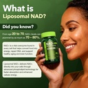 liposomal-nad-supplement-with-resveratro-2.jpg