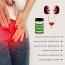 pure-by-nature-d-mannose-cranberry-capsu-4.jpg