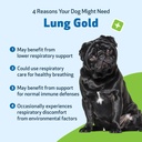 pet-wellbeing-lung-gold-for-dogs-respira-3.jpg