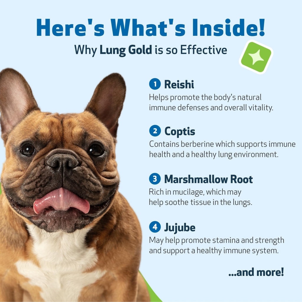 pet-wellbeing-lung-gold-for-dogs-respira-4.jpg