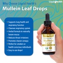 liquidhealth-usda-organic-mullein-leaf-e-3.jpg