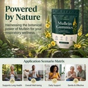 vitanics-mullein-gummies-mullein-leaf-ex-2.jpg