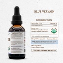 secrets-of-the-tribe-blue-vervain-usda-o-4.jpg