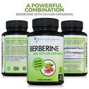 doctor-recommended-supplements-berberine-5.jpg