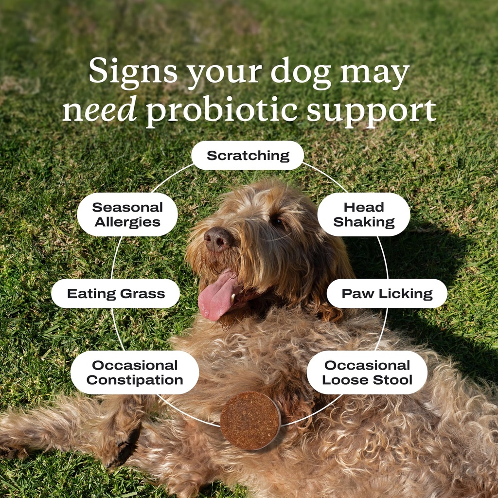 petlab-co-probiotics-for-dogs-support-gu-3.jpg