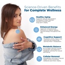 nad-patches-for-women-men-supports-vital-3.jpg