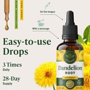 herbamama-dandelion-root-extract-for-liv-6.jpg