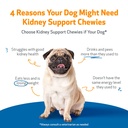 pet-wellbeing-kidney-support-chewies-for-3.jpg