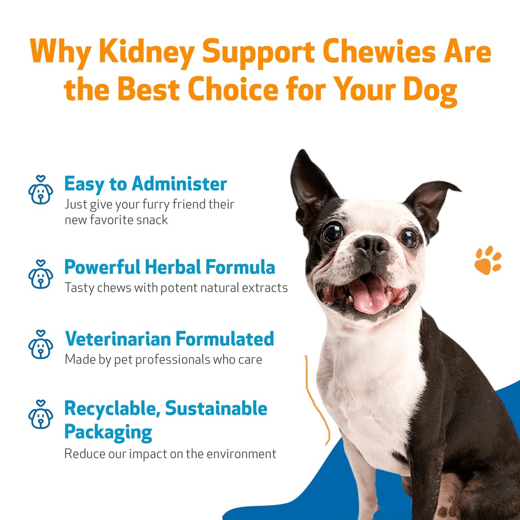 pet-wellbeing-kidney-support-chewies-for-4.jpg