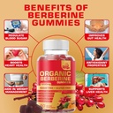 berberine-supplement-gummies-1200mg-with-3.jpg