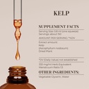 kelp-alcohol-free-natural-tincture-extra-3.jpg