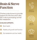 solgar-choline-350-mg-100-vegetable-caps-4.jpg