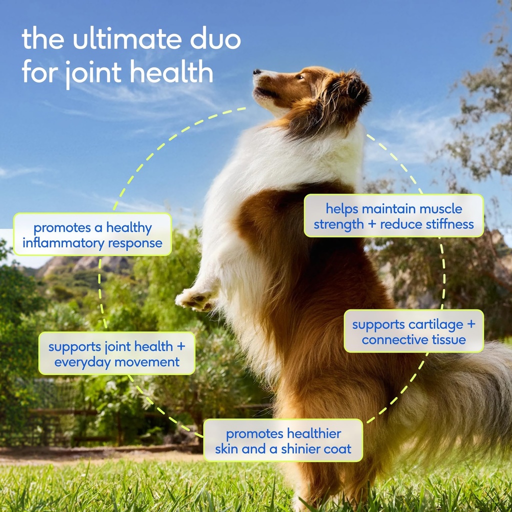 native-pet-omega-3-fish-oil-for-dogs-16o-2.jpg