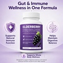 elvera-elderberry-gut-support-with-1200m-3.jpg