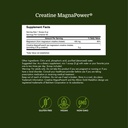 swanson-100-pure-creatine-magnapower-mag-4.jpg