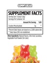 vmi-sports-creatine-monohydrate-powder-m-3.jpg