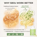lifted-naturals-spore-based-probiotic-pr-5.jpg