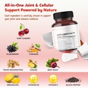 tart-cherry-elderberry-turmeric-resverat-3.jpg