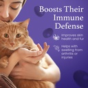 c60-evo-cat-lover-set-2-bottles-of-pure--5.jpg