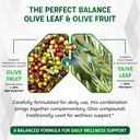 olive-leaf-supplement-olive-leaf-with-ol-5.jpg