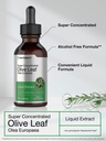 horb-ach-olive-leaf-extract-liquid-2-fl--3.jpg