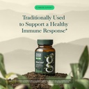 gaia-herbs-olive-leaf-traditional-immune-3.jpg